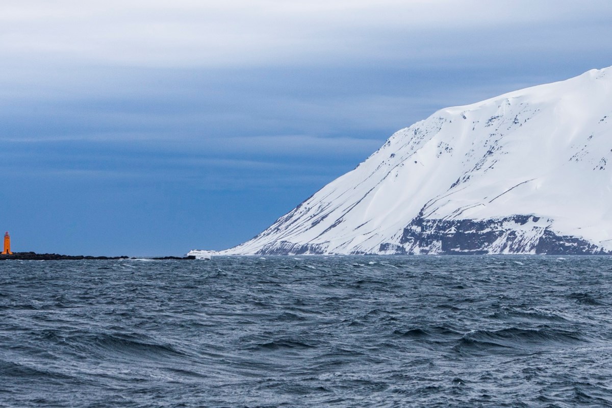 El sistema islandés de gestión de la pesca 