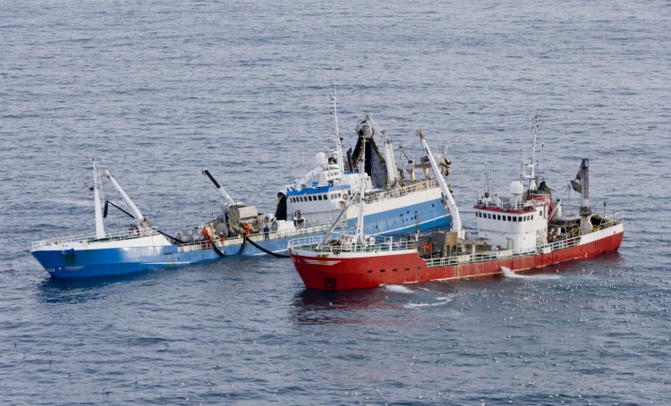 Export and statistics