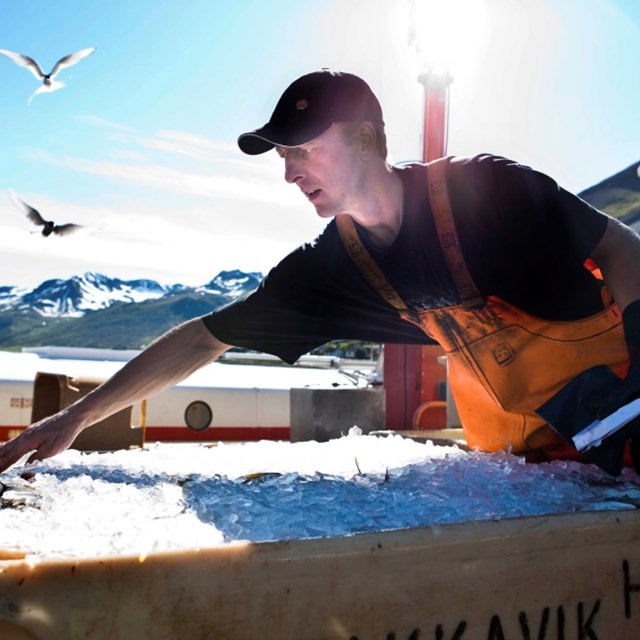 Fyrirtæki með vottun