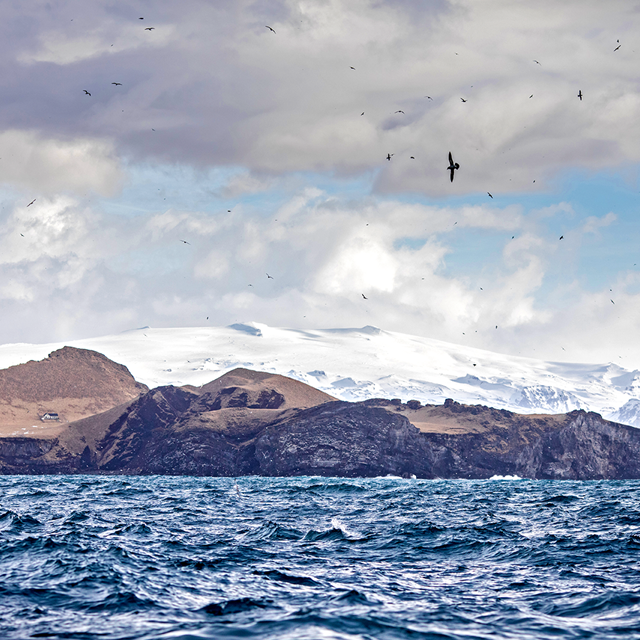 ¿Por qué escoger productos marinos de Islandia?