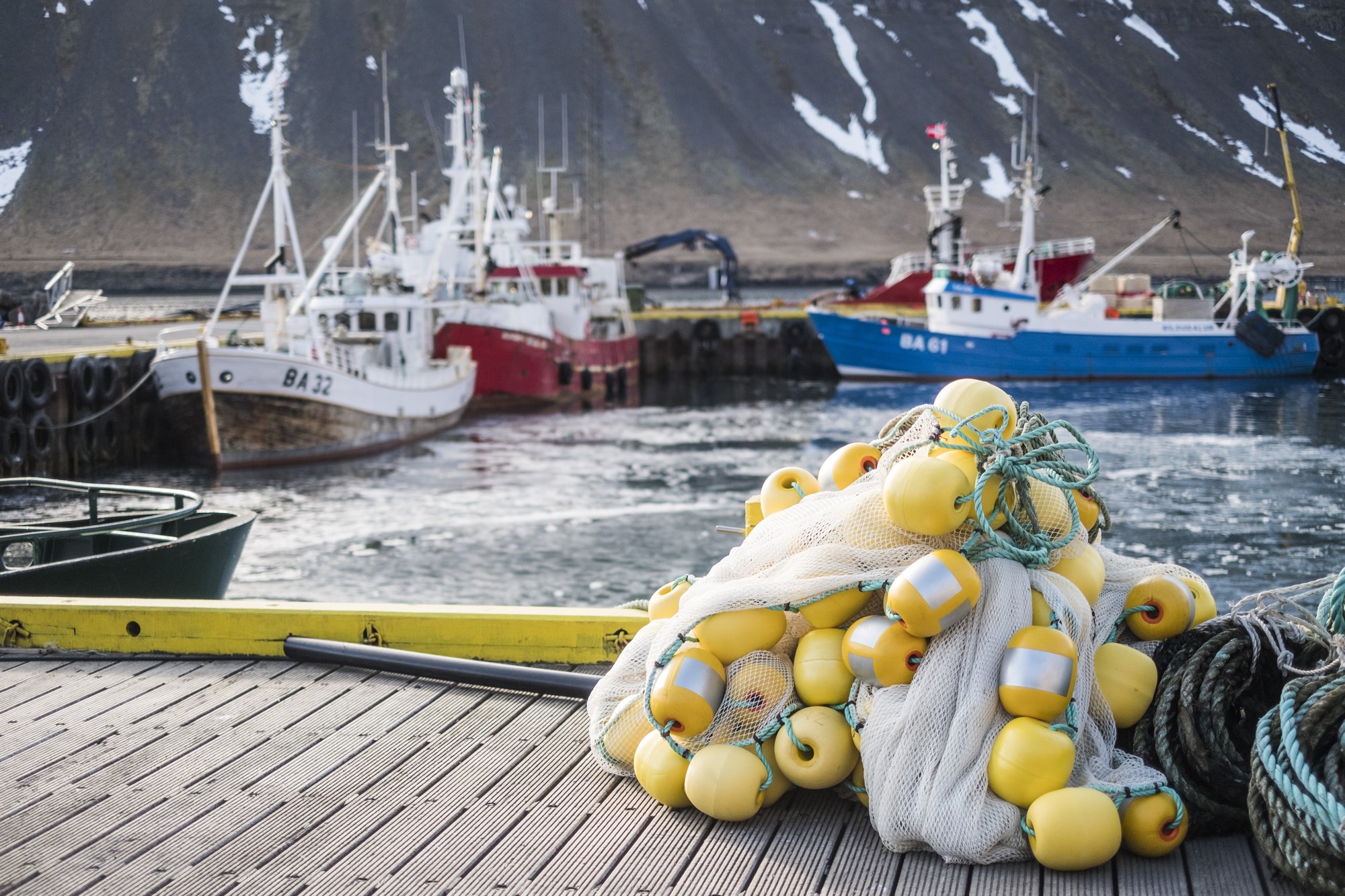 Announcement of Peer Reviewers for the Re-Assessment of the Icelandic Haddock & Saithe Commercial Fisheries