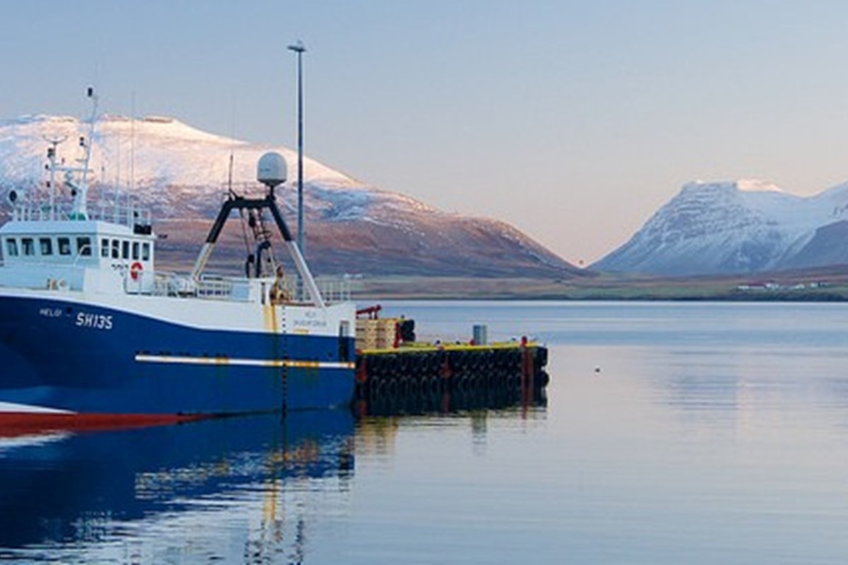 RFM Chain of Custody Standard - Announcement of 30 days comment period