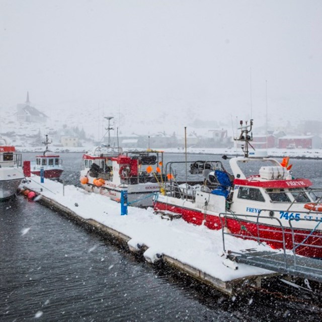 Ábyrgar fiskveiðar ses
