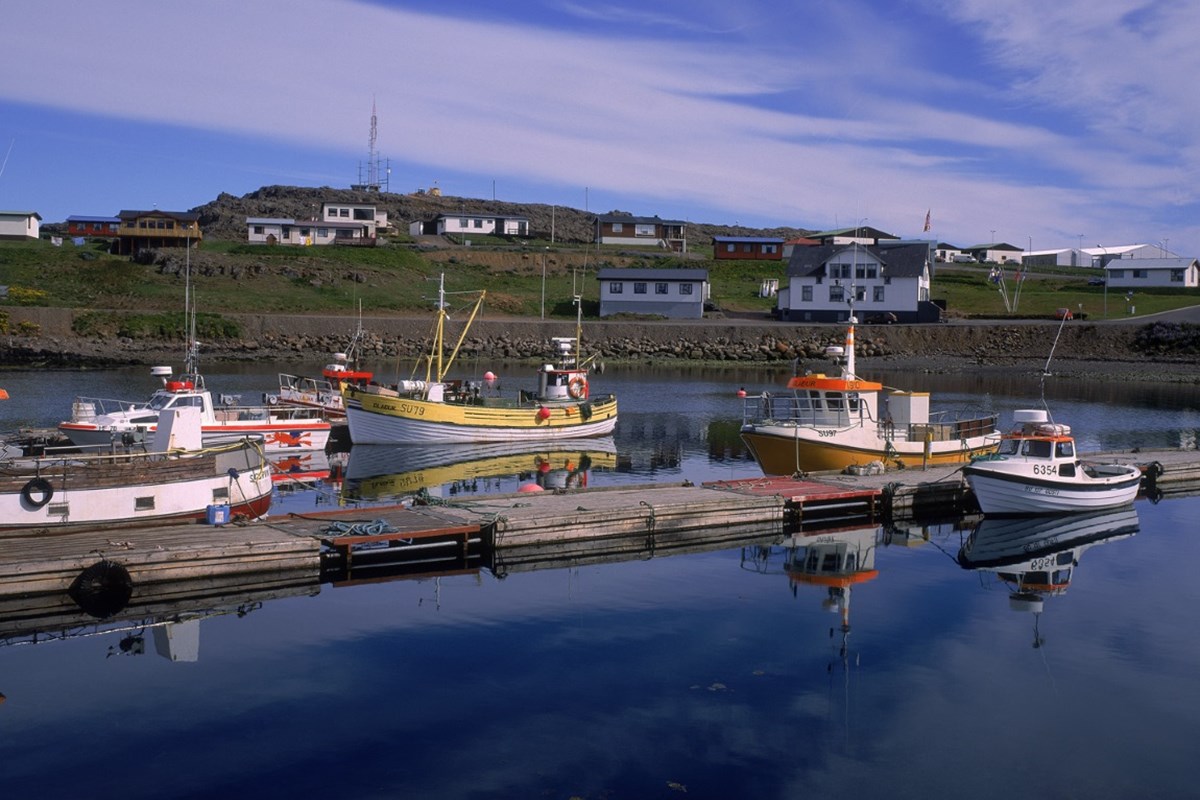 Fisktegundir