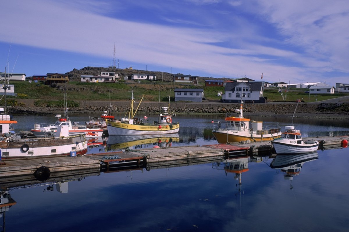 Continued certification of Cod fisheries