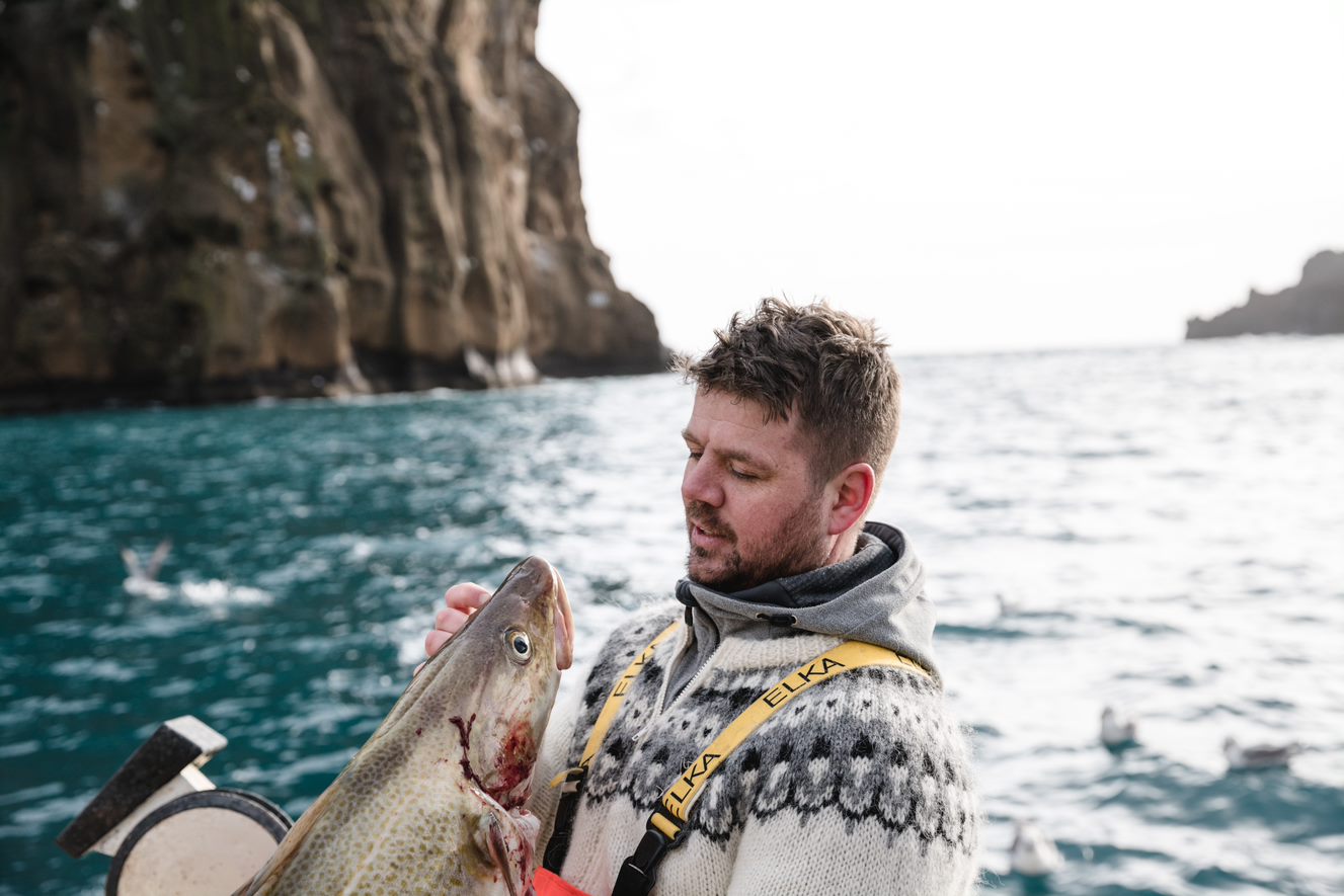 Fish for lunch - fueling the younger generations