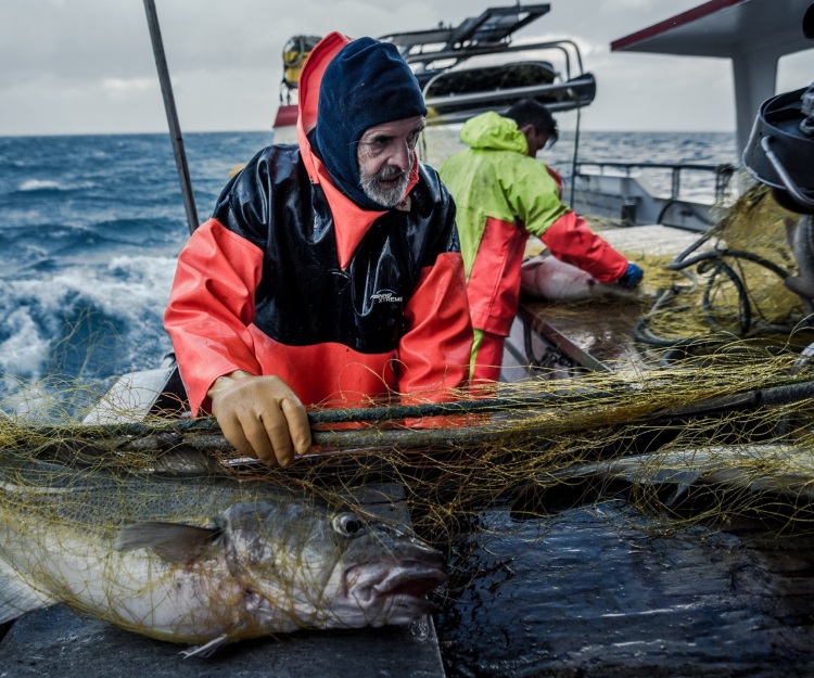 The DNA of Icelanders