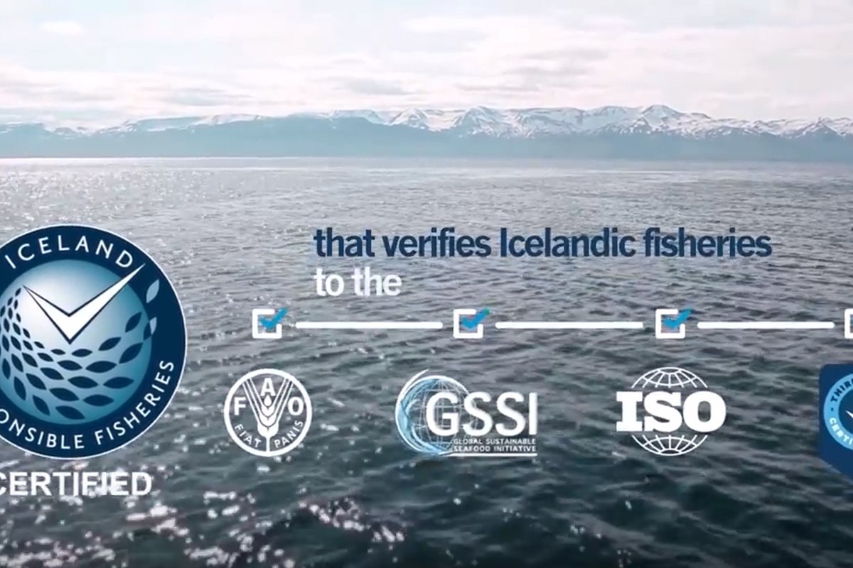 Nýtt video um vottun fiskveiða