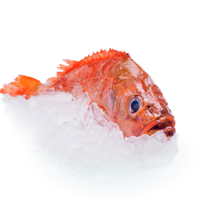 Icelandic Goldfish redfish re-certified