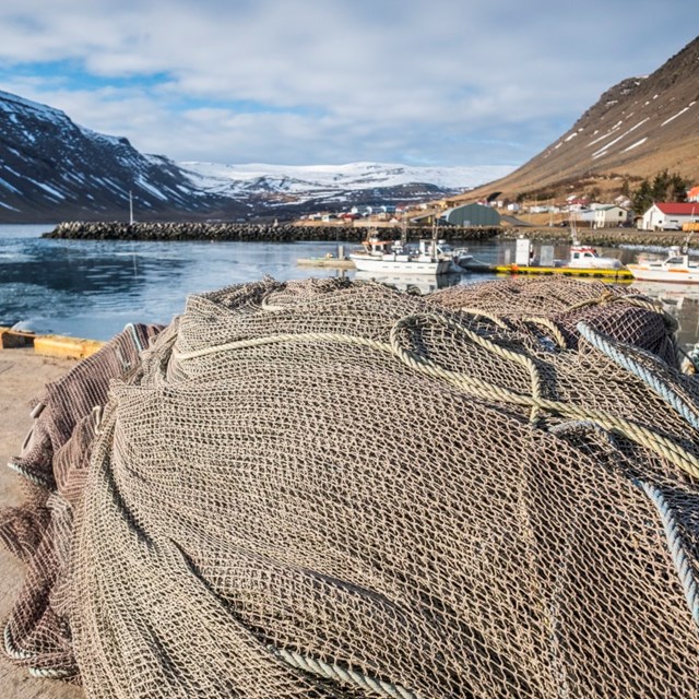 Vottuð fyrirtæki