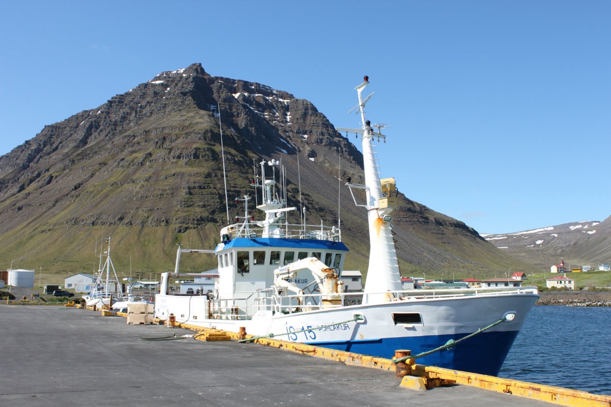 Aflamarki fyrir 2015/2016 hefur verið úthlutað