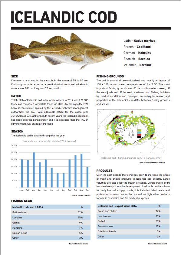 Updated Fact Sheet available