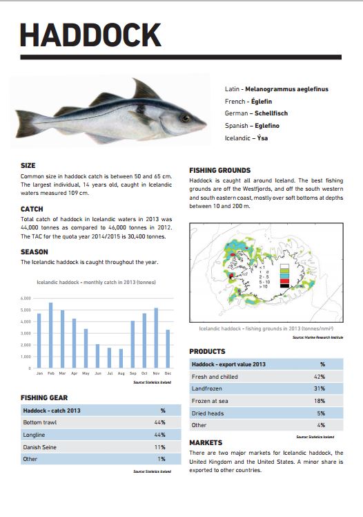 Certification report for Haddock fisheries available online