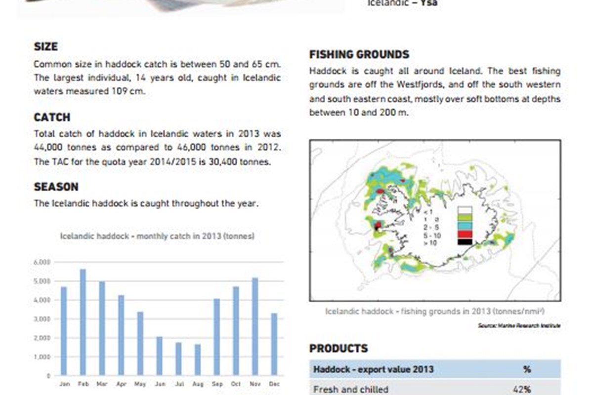 Certification report for Haddock fisheries available online