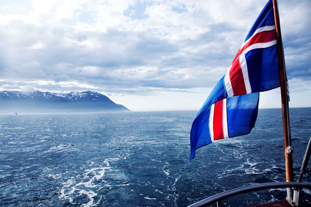 Haddock, Saithe and Golden Redfish enter certification process