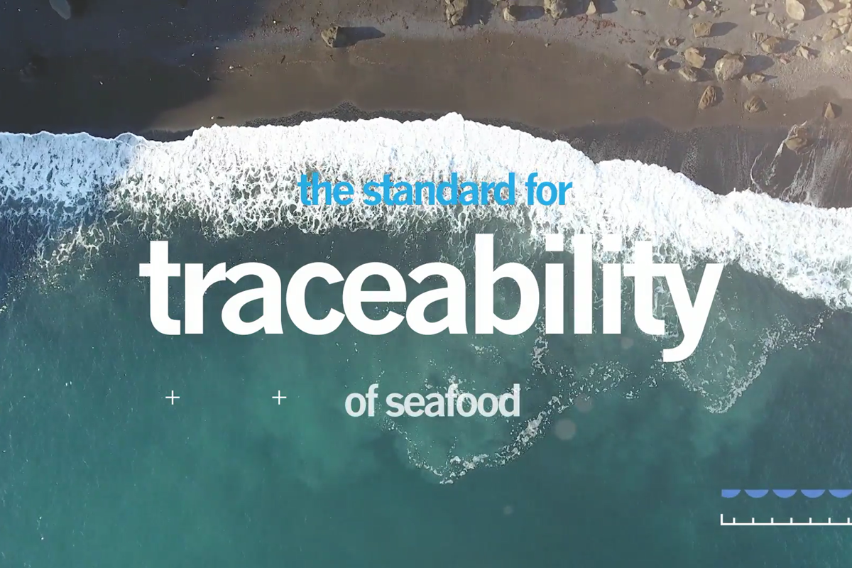 Revision of IRFM Chain of Custody Standard - 60 days comment period